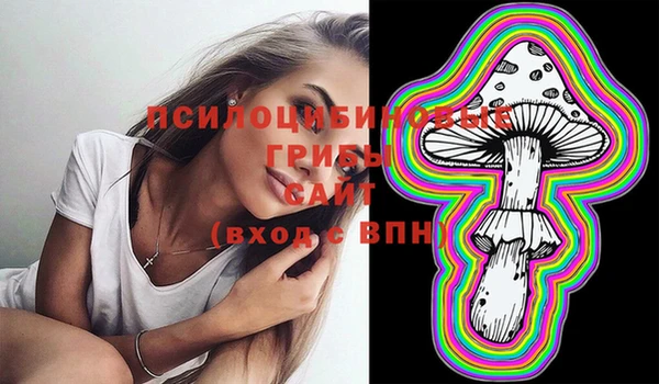 тгк Алексеевка